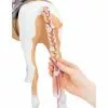 Our Generation From Hair to There Palomino Paint Horse Accessory Set for 18" Dolls 2 Our Generation From Hair to There Palomino Paint Horse Accessory Set for 18" Dolls -Our Generation Sales Shop unnamed file 17